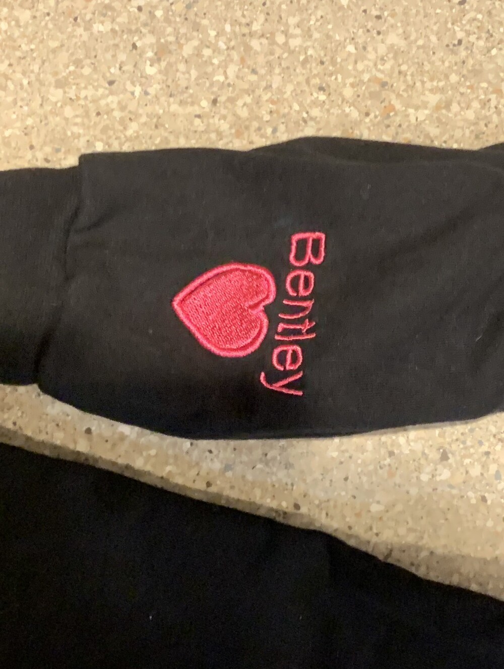 #719 Black Hoodie with Pink Dog Outline - Picture 3 of 5
